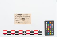 Etikett zu Bronzerollenkopfnadel (NHMW-PRAE-025599a)